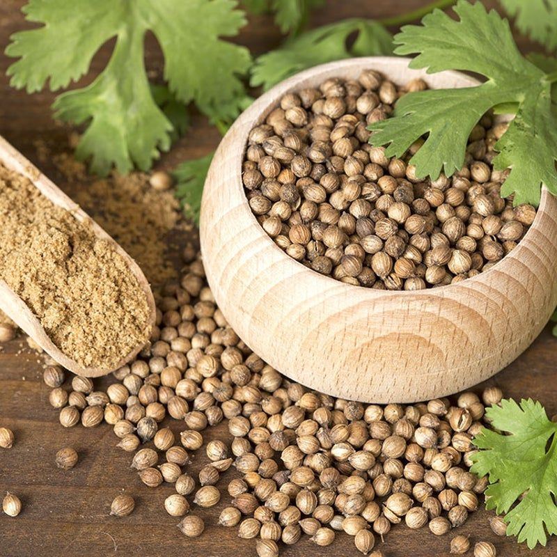 Coriander - Dev Tandoor Industries